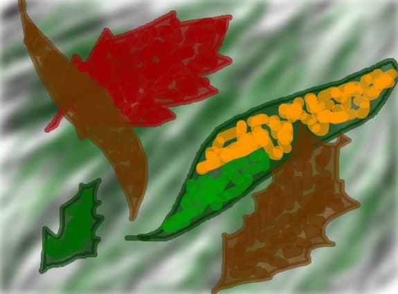 frunze