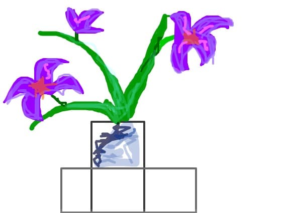 ikebana