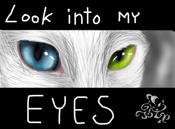Cat\'s eyes