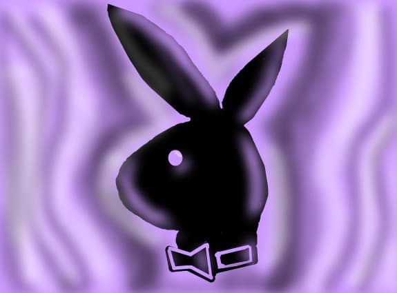 3. d3s3n t3rminat > playboy