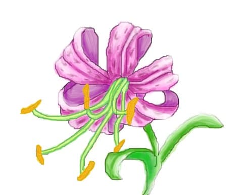 Desen 39813 modificat:Crin