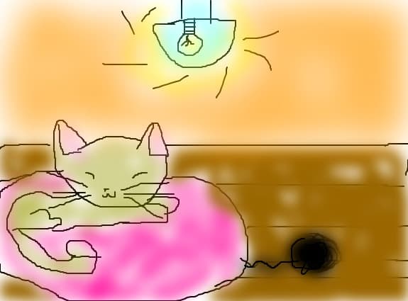 kitty