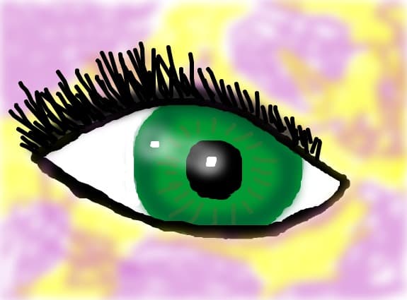 the eye