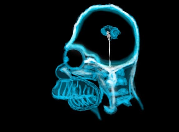 Homer Simson Brain