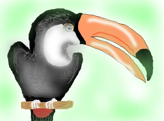 tropical bird