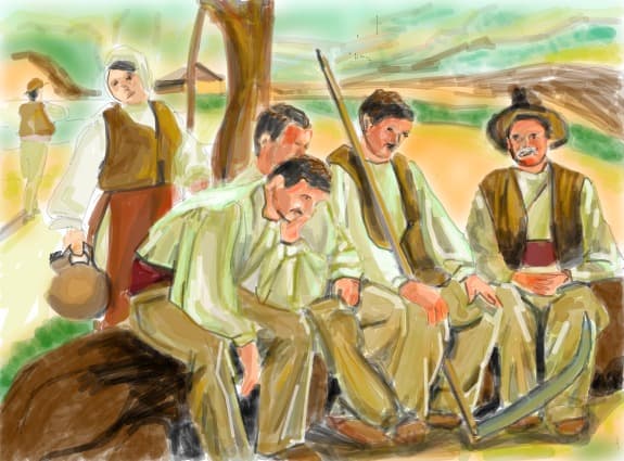 tarani la coasa