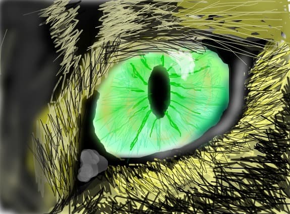 cateye