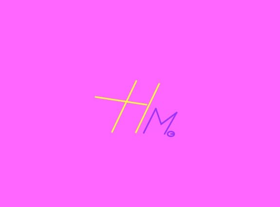 HM.-Hannah Montana
