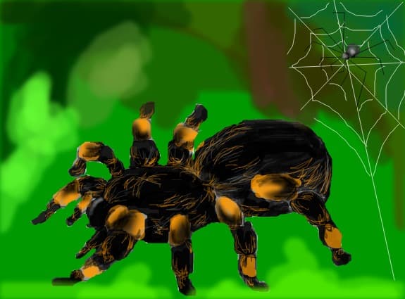 Tarantula