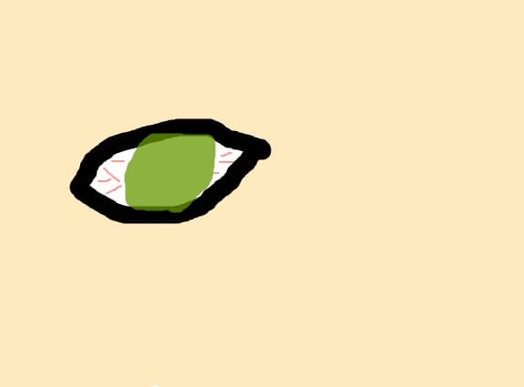 un ochi
