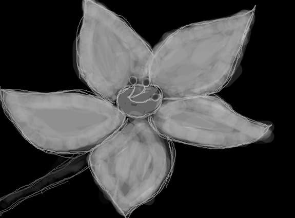 Floare