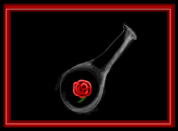 rose