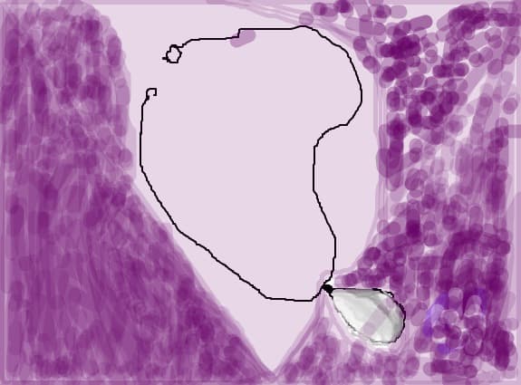 colierul h2o