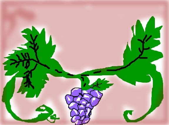 Struguri