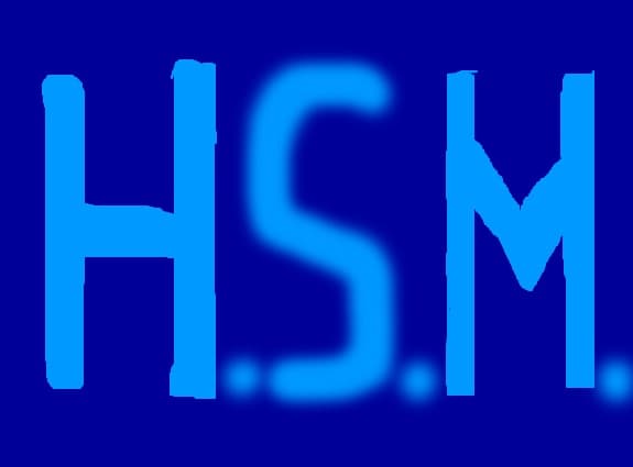 HIGH SCHOOL MUSICAL
