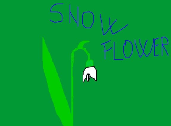 snowflower