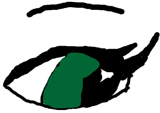 ochisorul