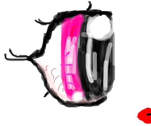 ochi