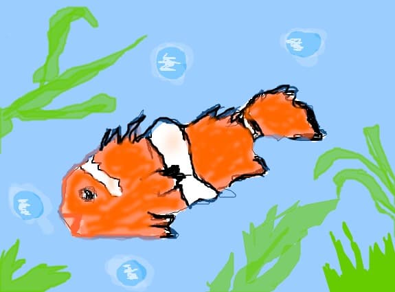 fish