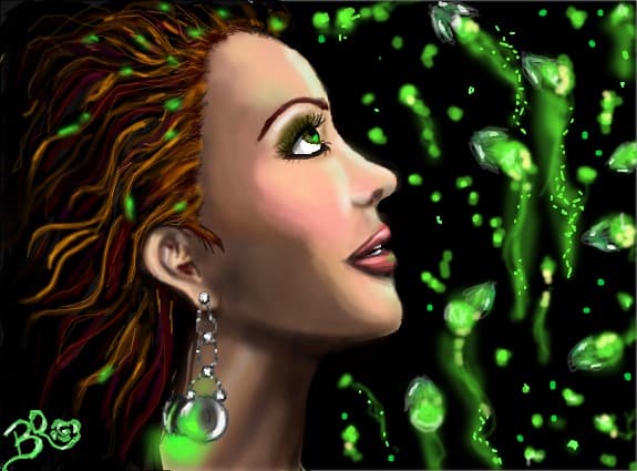 Dancing with the fireflies