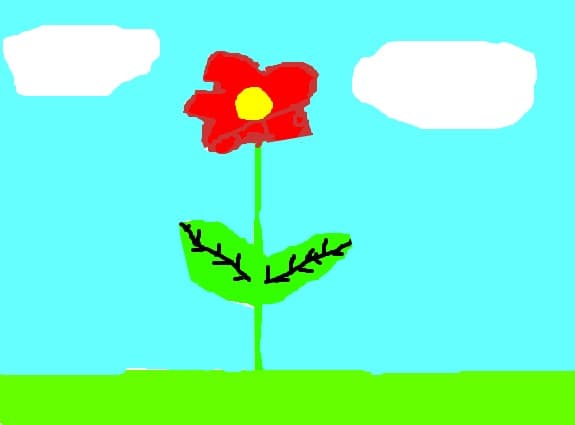 floare rosie