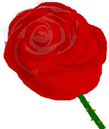 4 my mom