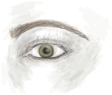 eye