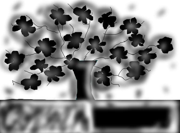 Black&amp;White Pomul Vietii