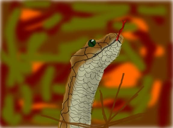 snake