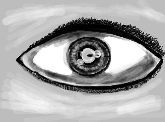 an eye
