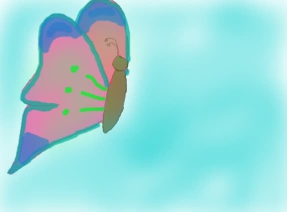 a butterfly