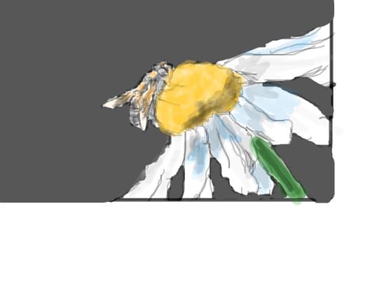 si eu sunt de pe site.numele meu de utilizator este buruiana loredana
