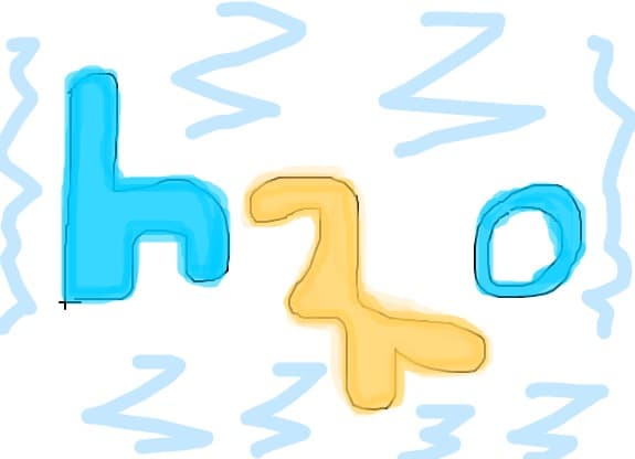 H20