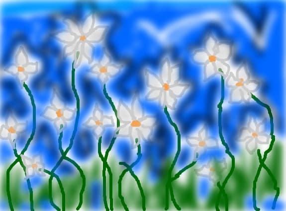 Floricele