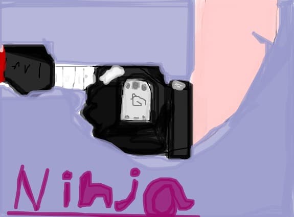 Spiritul Ninja