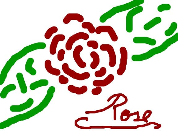 rose-trandafir in engleza-