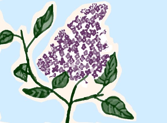 Desen 47123 continuat:Liliac