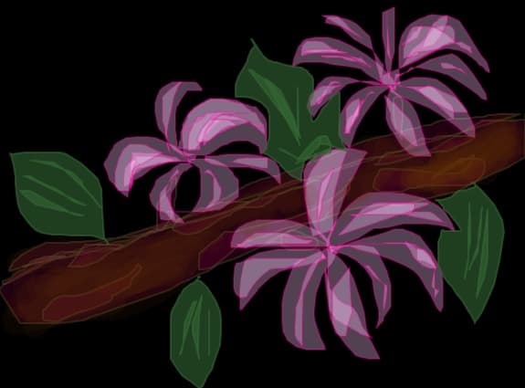 Flori