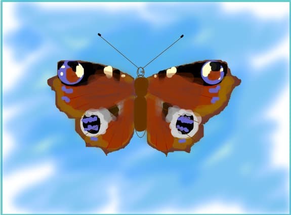 butterfly