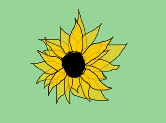 floarea soarelui