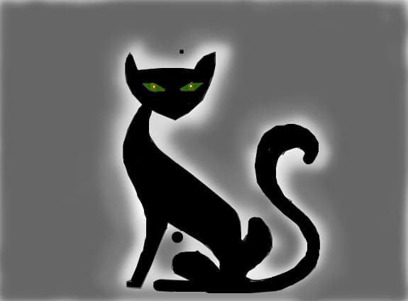 black cat