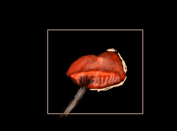lips