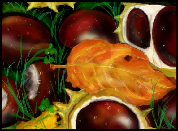 Castane ratacite prin iarba