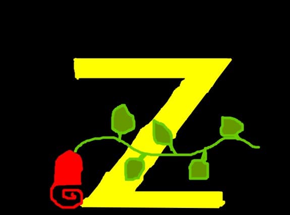 zoro