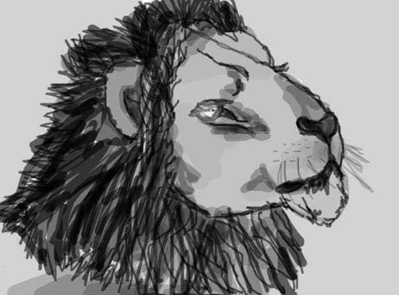 lion