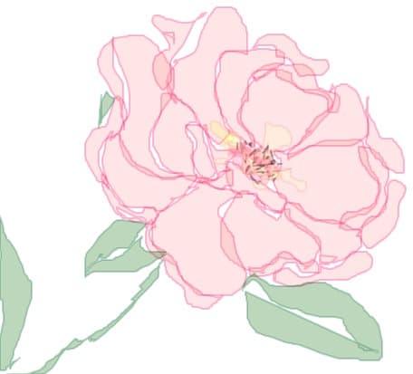 o floare