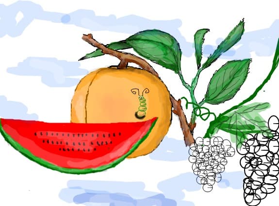 Desen 4710 modificat:fructe