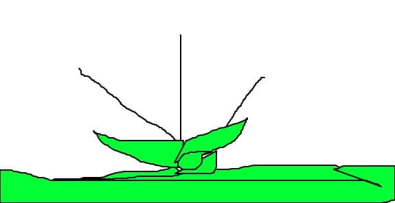 FLOARE