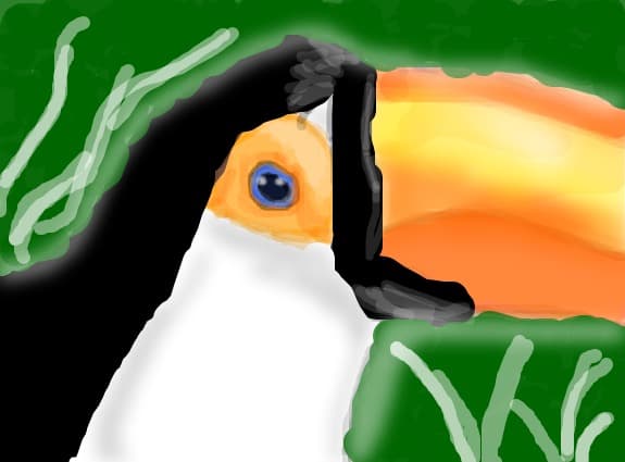 Tucan
