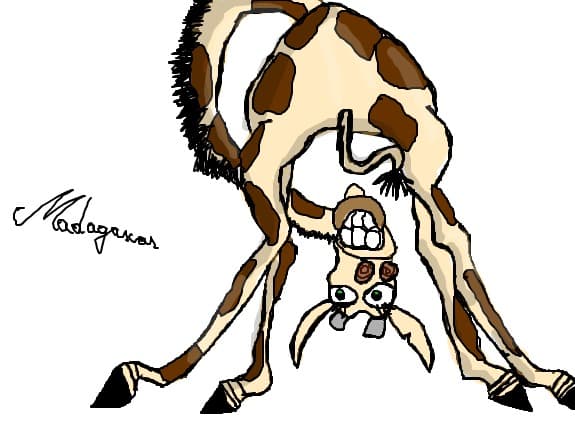 madagascar